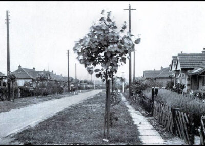 Central Avenue Frost Estate - Corringham