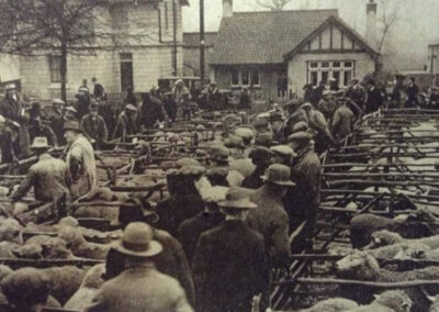 Stanford Le Hope - Cattle Market